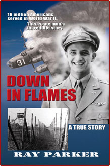 “Down in Flames” by Ray Parker – Book Review