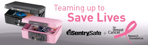 SentrySafe Pink 1100 Fire-Safe Chest Review