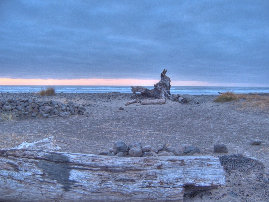 Driftwood and the setting sun