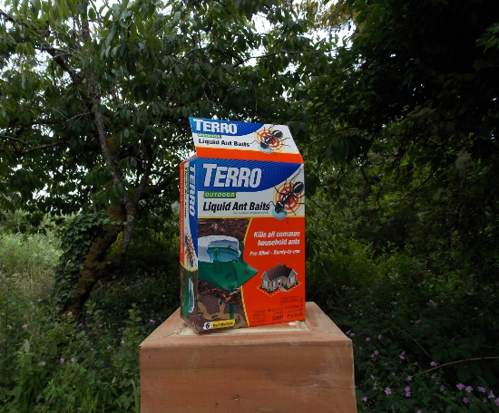 TERRO Outdoor Liquid Ant Baits