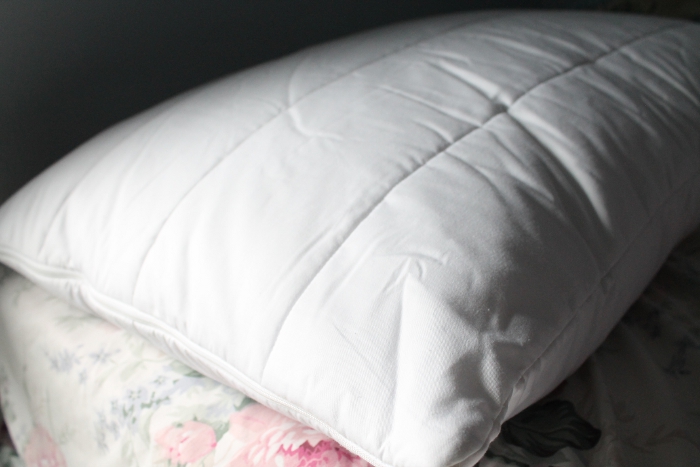 Reverie Sweet Slumber Pillow Review